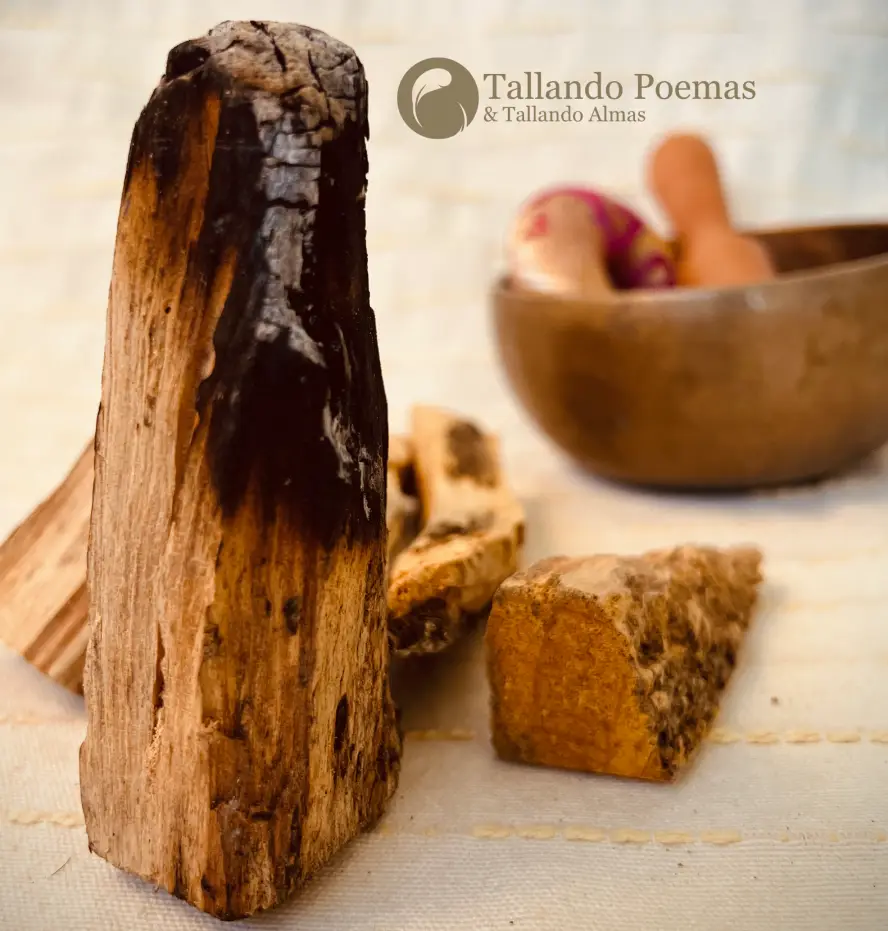 Palo Santo en Venezuela quemado vertical en el fondo una campana y cojín